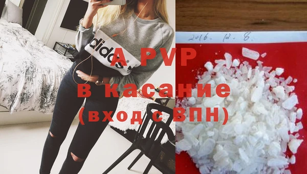 ПСИЛОЦИБИНОВЫЕ ГРИБЫ Пересвет