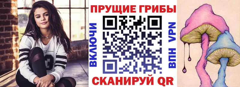 Псилоцибиновые грибы Cubensis  Зея 